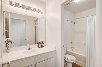 a bathroom with a sink and a toilet